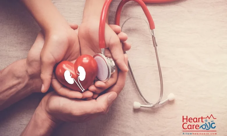 هل غسيل الكلى يضعف القلب هل أمراض الكلى تؤثر على القلب
